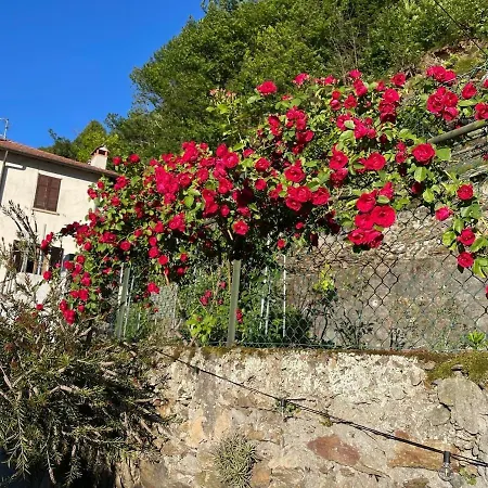 La Casa Di Lola View * Bellano