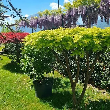 La Casa Di Lola View *